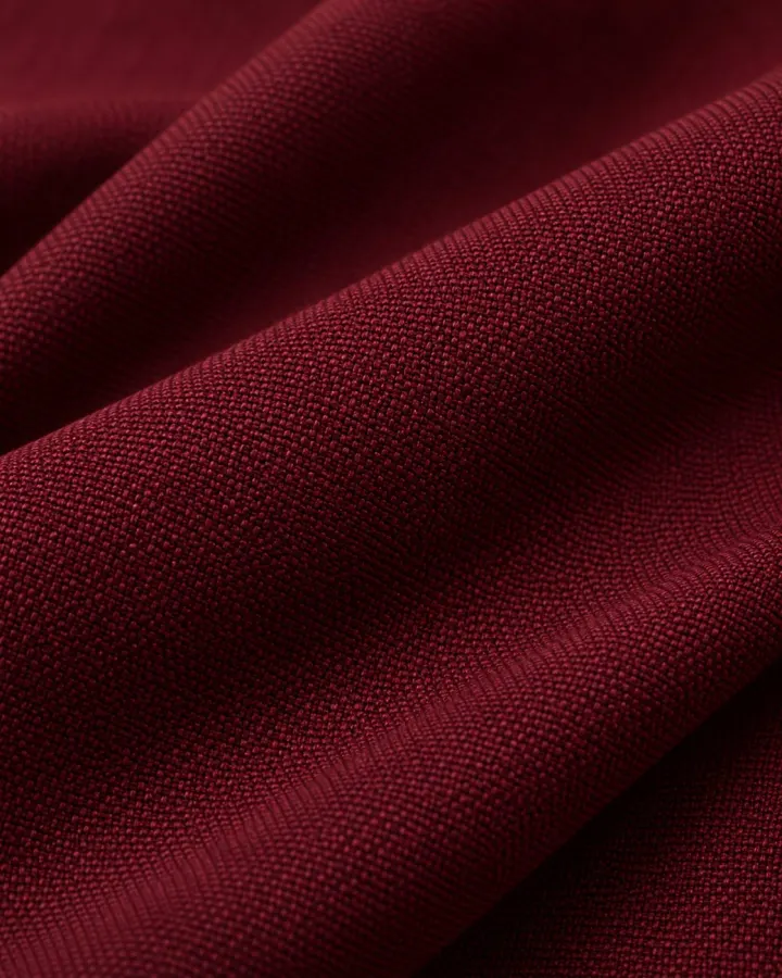 Bemount Bemount Deep Wine Oxford Shirt in Deep Wine, texture view